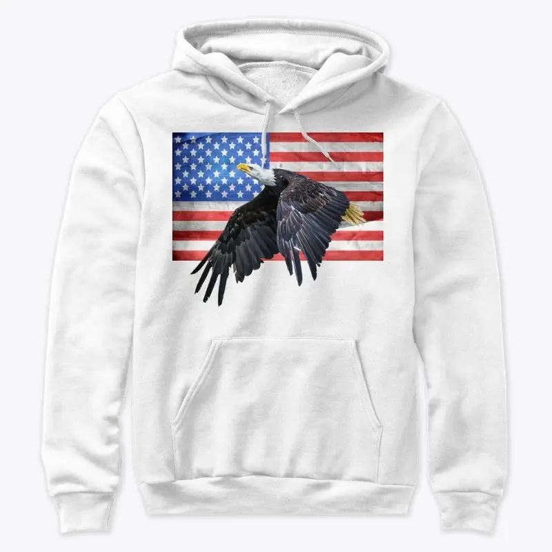 American flag/eagle/freedom