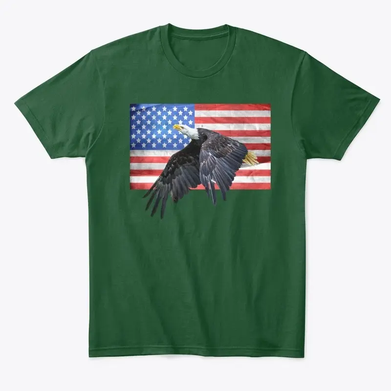 American flag/eagle/freedom