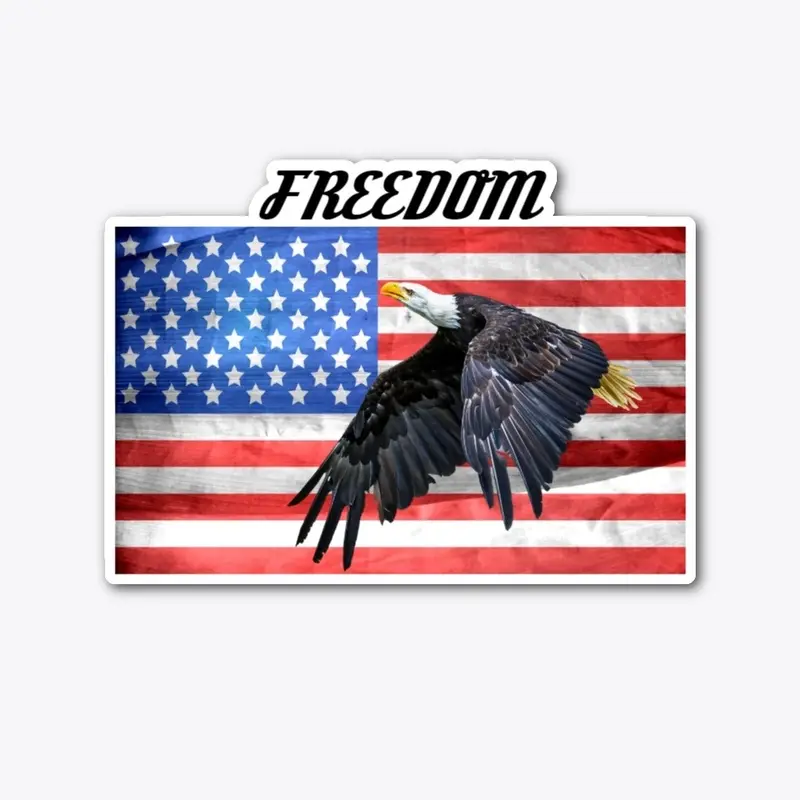 American flag/eagle/freedom