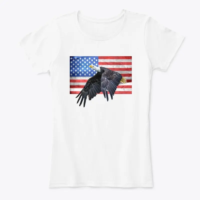 American flag/eagle/freedom